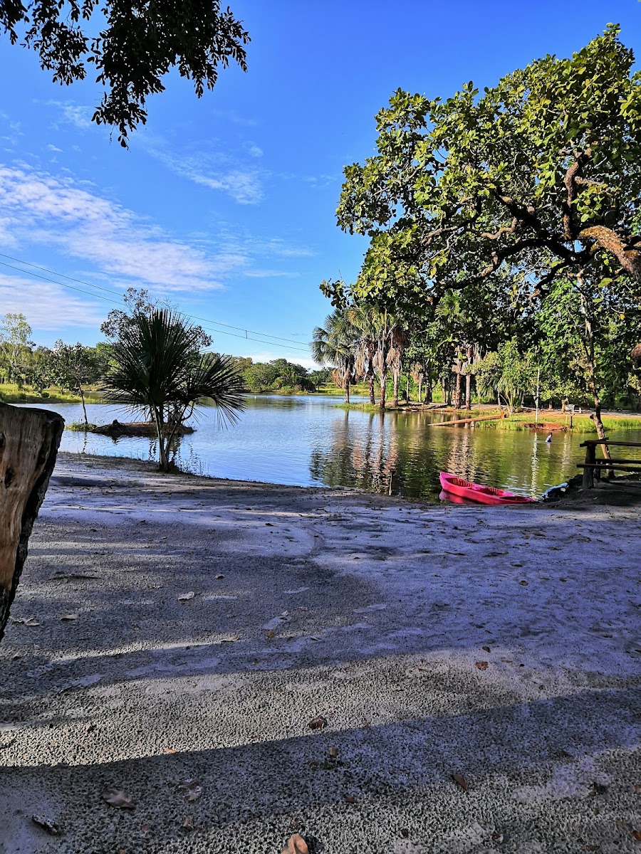 Araguaína: Roteiro Completo para Sua Excursão no Tocantins