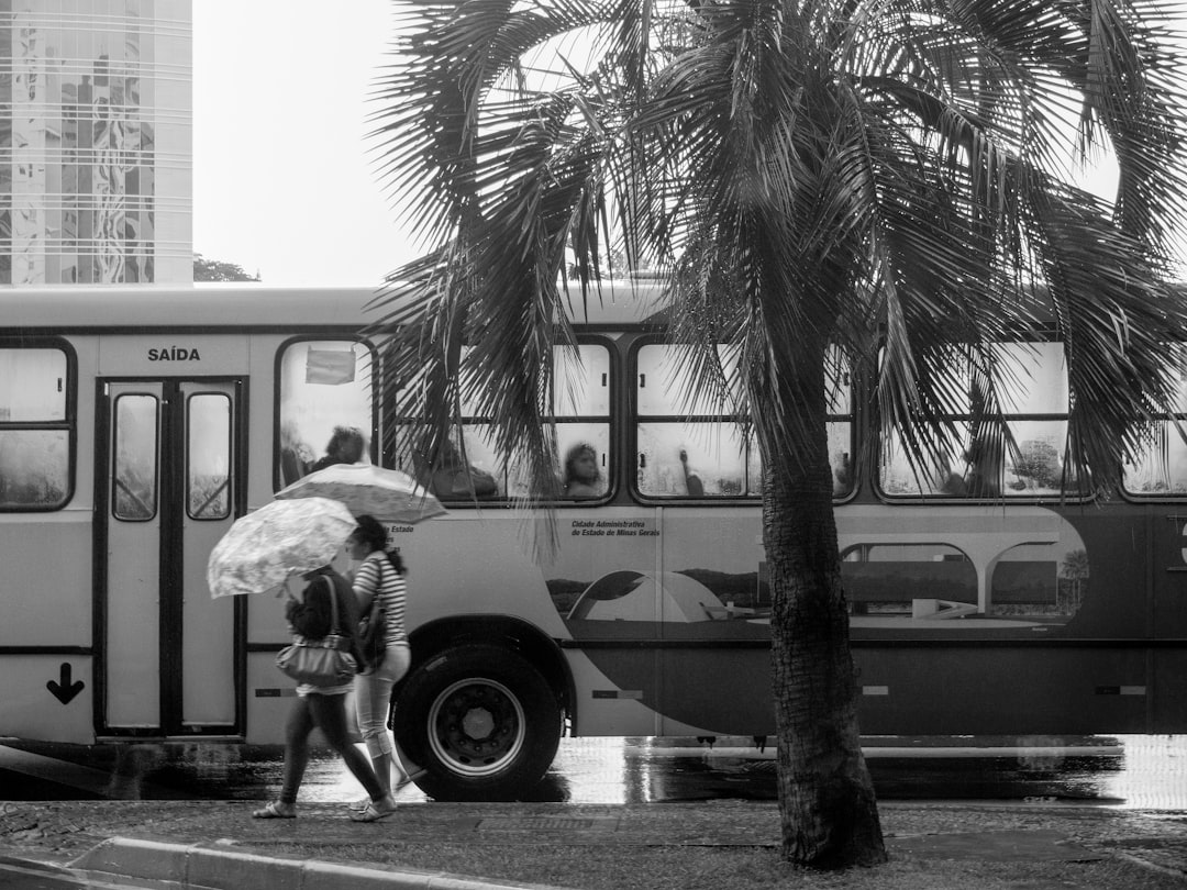 Excursões Rodoviárias: Antídoto para o Cansaço Moderno