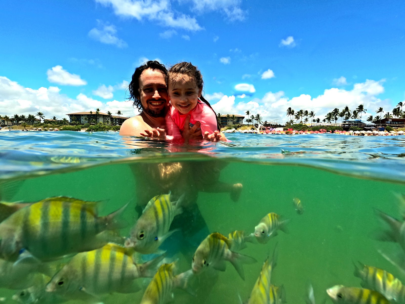 Porto de Galinhas de Ônibus: Guia Completo para sua Excursão!