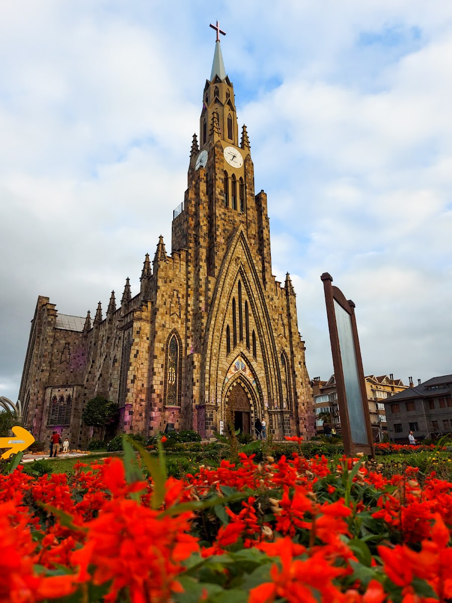 Serra Gaúcha de Ônibus: Roteiro Completo de Vinho e Aventura!